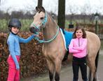 Leuk set: Barebackpad & touwhalster, Dieren en Toebehoren, Paarden en Pony's | Dekens en Dekjes, Ophalen of Verzenden