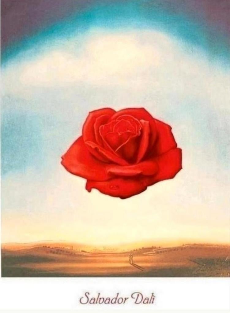 SALVADOR DALI Meditative Rose. Kunstreproduktie achter glas, Ophalen