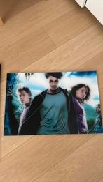 Harry Potter kunstwerk, Verzamelen, Posters, Ophalen of Verzenden, Zo goed als nieuw, Film en Tv