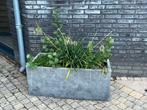 Hard stenen bloembak grijs, Tuin en Terras, Ophalen of Verzenden, Gebruikt, Steen, Minder dan 60 cm