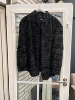 Kort persianer bontjas, Kleding | Dames, Jassen | Winter, Ophalen of Verzenden, Zo goed als nieuw, Maat 42/44 (L), Zwart