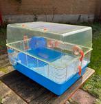 Grote Ferplast Hamster- of Muizenkooi, B 55 x D 40 x H 38 cm, Dieren en Toebehoren, Knaagdieren en Konijnen | Hokken en Kooien