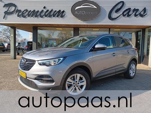 Opel Grandland X 1.2 Turbo Business Executive|AUTOMAAT||STOE, Auto's, Opel, Bedrijf, Te koop, Grandland X, ABS, Airbags, Airconditioning