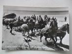 L87 Ameland - Reddingboot met paarden - 1963, Verzenden, 1960 tot 1980, Gelopen, Waddeneilanden