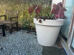 Enorme taupe bloempot zgan 80cm doorsn 70cm hoogte, Tuin en Terras, Ophalen, Kunststof, 40 cm of meer, Rond