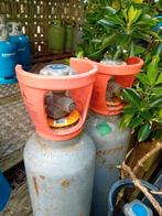 2 CO2 flessen (6kg) - Koolzuurgas, Ophalen of Verzenden