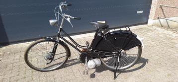 Bromfiets, Cyclestar.  beschikbaar voor biedingen