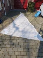 Te koop Fok van Victoire 22, Ophalen, Gebruikt