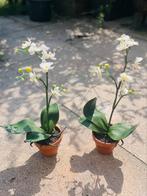 Kunstplanten orchidee in pot, Huis en Inrichting, Woonaccessoires | Kunstplanten en Kunstbloemen, Ophalen