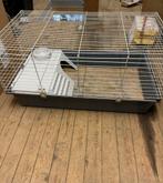 Cavia kooi groot met toebehoren., Dieren en Toebehoren, Knaagdieren en Konijnen | Hokken en Kooien, Kooi, Gebruikt, Hamster, 75 tot 110 cm