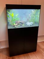 Oase StyleLine 175 Zwart | Aquarium, Dieren en Toebehoren, Vissen | Aquaria en Toebehoren, Ophalen, Zo goed als nieuw, Leeg aquarium