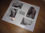 NIEUW - Wit houten fotolijst voor vier foto's, Ophalen of Verzenden, Nieuw