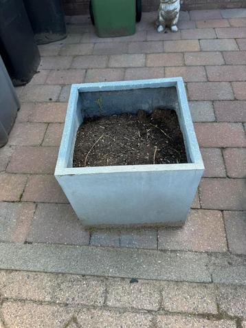 Plantenbak beschikbaar voor biedingen