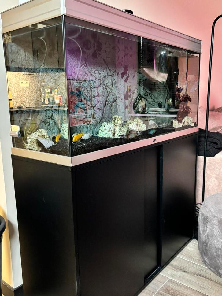 Aquarium 120cm met of zonder vissen, Dieren en Toebehoren, Vissen | Aquaria en Toebehoren, Gebruikt, Gevuld zoetwateraquarium