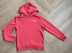 Raizzed leuke Hoodie - Maat 146, Kinderen en Baby's, Kinderkleding | Maat 146, Verzenden, Jongen of Meisje, Trui of Vest, Zo goed als nieuw