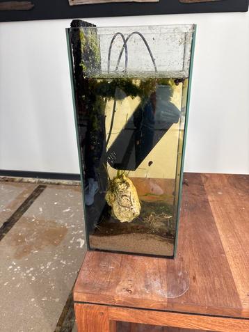 Aquarium beschikbaar voor biedingen