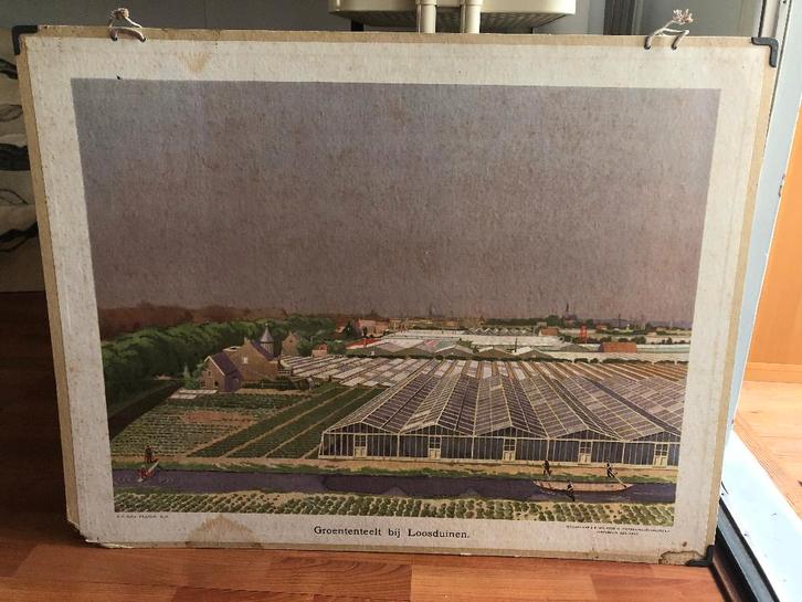 Schoolplaat "Groenteteelt bij Loosduinen", Antiek en Kunst, Antiek | Schoolplaten, Aardrijkskunde, Ophalen of Verzenden