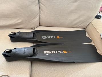 Mares pro fins beschikbaar voor biedingen