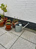 Buitentegel met patroon, Ophalen, Gebruikt, 40 tot 60 cm, 10 m² of meer