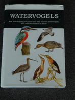 Watervogels, Ophalen of Verzenden, Zo goed als nieuw, Vogels