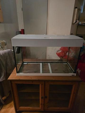 Aquarium  beschikbaar voor biedingen