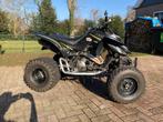 Nette Yamaha Raptor 660R Limited Edition, Motoren, 660 cc, 1 cilinder, 12 t/m 35 kW