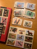Animal Lotto Goldex Editions - dieren, Ophalen of Verzenden, Gebruikt