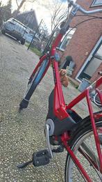 demo pharos accu fiets, 56 cm of meer, Ophalen, Overige merken