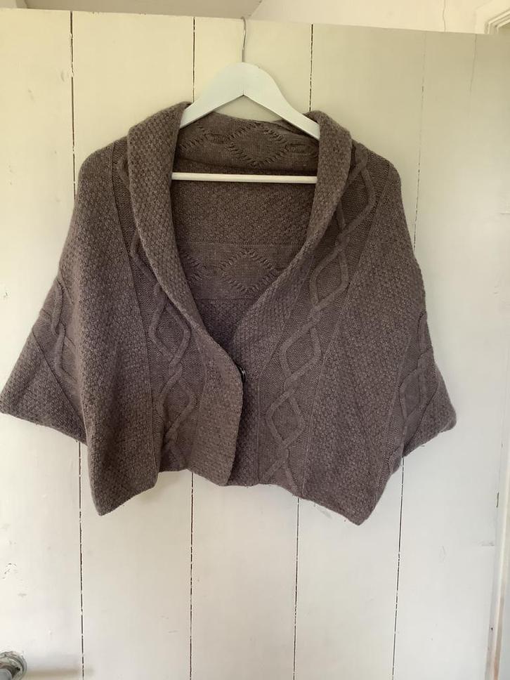 Bolero (merk uitgeknipt), Kleding | Dames, Truien en Vesten, Zo goed als nieuw, Maat 38/40 (M), Beige, Ophalen of Verzenden