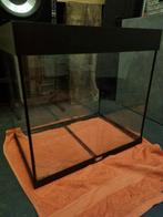 Juwel Lido 120 aquarium bak zonder toebehoren, Ophalen, Gebruikt, Leeg aquarium