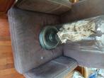 Opgezette uil taxidermie, Verzamelen, Dierenverzamelingen, Verzenden, Zo goed als nieuw, Vogel, Opgezet dier