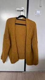 Gebreid vest okergeel, Ophalen of Verzenden, Zo goed als nieuw, Maat 38/40 (M), Geel
