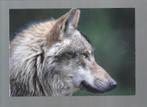 2726 Kaart dieren wolven wolf, Verzamelen, Wild dier, Ongelopen, Verzenden