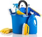 Betrouwbare schoonmaakster huishoudelijke hulp met ervaring!, Diensten en Vakmensen