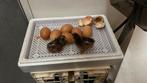 Broedeieren Barnevelder dubbel gezoomd, Ophalen, Nieuw, Overige typen