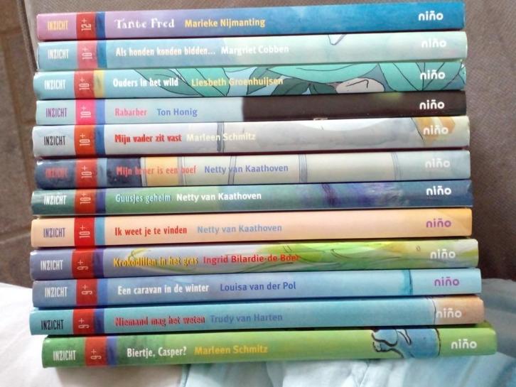 InZichtboeken van Nino voor in de klas, Boeken, Kinderboeken | Jeugd | 10 tot 12 jaar, Zo goed als nieuw, Non-fictie, Ophalen of Verzenden