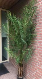 Te koop kunstplant Arecapalm, Ophalen