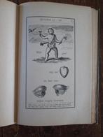Kleine Beeldenbijbel 1895 rebus raadsel bijbel, Antiek en Kunst, Ophalen of Verzenden