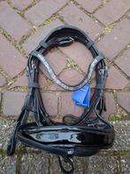 Nieuw hoofdstel hb maat full lak neusriem, Debaronesruitersport@hotmail.com, Dressuur, Nieuw, Ophalen of Verzenden