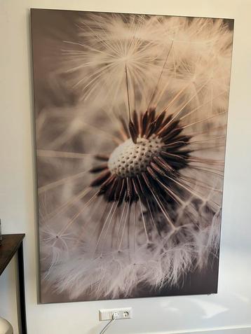 Wallstars los doek 120x180 cm Fragile Dandelion (prj) beschikbaar voor biedingen