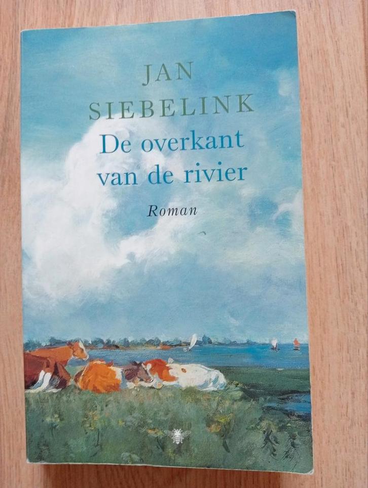 Jan Siebelink - De overkant van de rivier, Boeken, Literatuur, Gelezen, Nederland, Ophalen of Verzenden