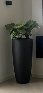 Moderne vaas zwart mat 100 cm, Huis en Inrichting, Woonaccessoires | Vazen, Ophalen, Zwart, Aardewerk of Porselein, Zo goed als nieuw