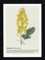 Geurkaart Koolzaad Brassica Napus., Ophalen of Verzenden, 1980 tot heden, Ongelopen, Natuur