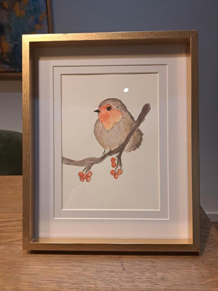 Aquarel vogel Roodborstje in Lijst, Antiek en Kunst, Kunst | Tekeningen en Foto's, Ophalen of Verzenden