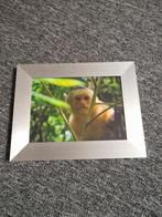 Fotolijst, Audio, Tv en Foto, Ophalen of Verzenden, Gebruikt