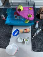 Hamsterkooi met heel veel spullen, Kooi, Gebruikt, Minder dan 75 cm, Hamster