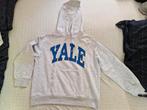 Yale hoodie H&M maat S, Kleding | Dames, H&M, Ophalen of Verzenden, Zo goed als nieuw, Maat 36 (S)