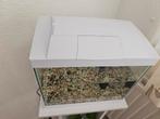 Aquarium met Aquarium tafel en pomp, Vis