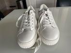 Sneakers wit maat 38 BLUE BOX, Blue Box, Verzenden, Wit, Sneakers of Gympen