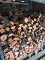 Haardhout, Tuin en Terras, Minder dan 3 m³, Ophalen